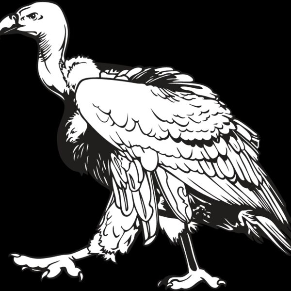Vulture Thumbnail