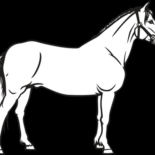 Horse10 Thumbnail