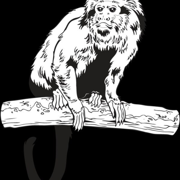 Monkey1 Thumbnail
