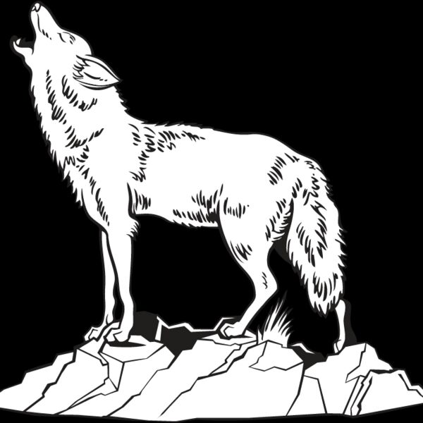 Coyote2 Thumbnail
