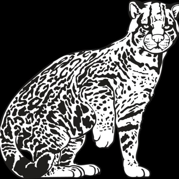 Ocelot Thumbnail