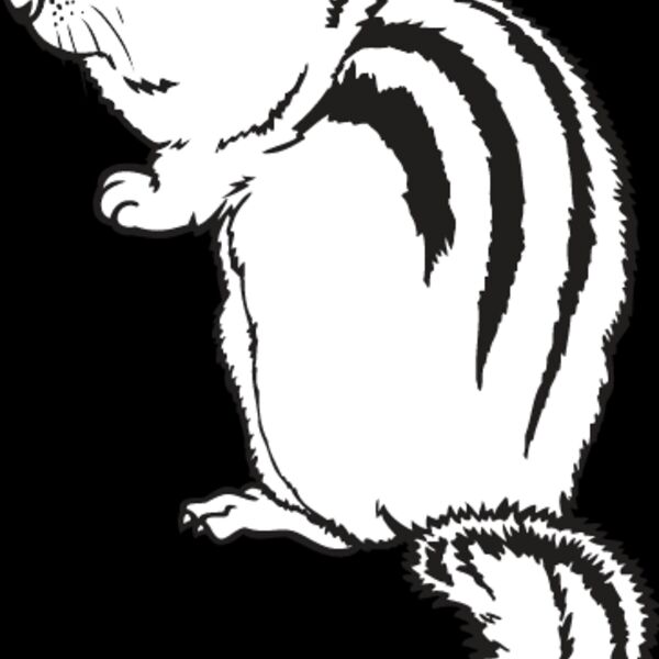 Chipmunk Thumbnail