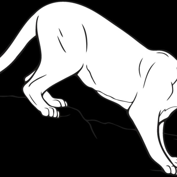 Mountain Lion Thumbnail