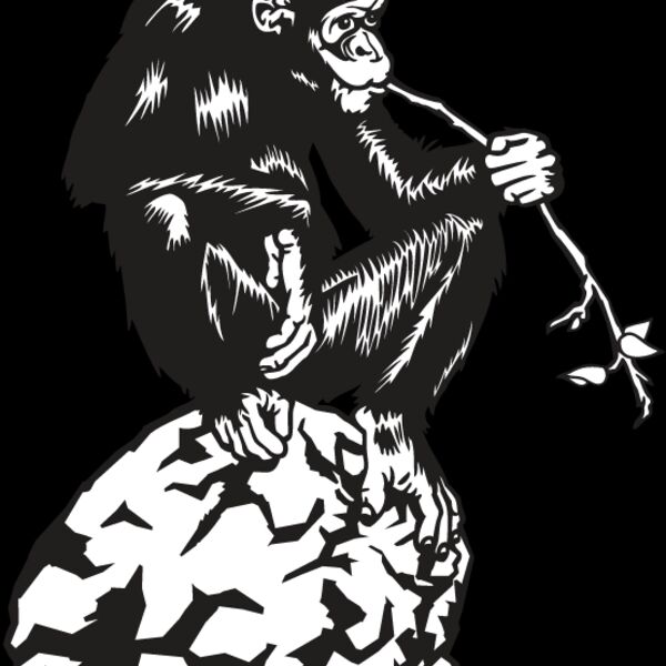 Chimpanzee Thumbnail