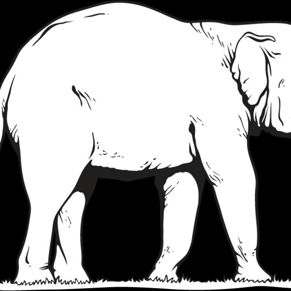 Elephant3 Thumbnail