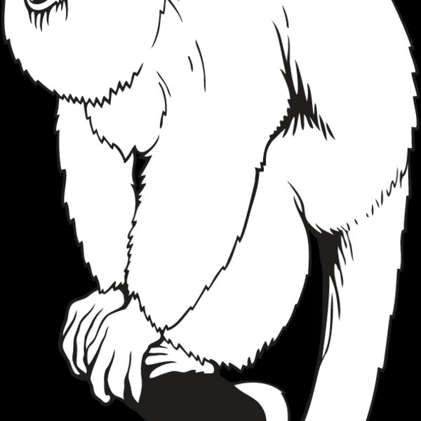 Monkey2 Thumbnail