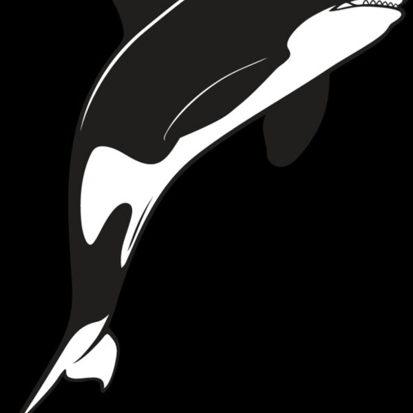 Killer Whale5 Thumbnail