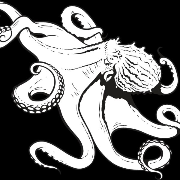 Octopus1 Thumbnail