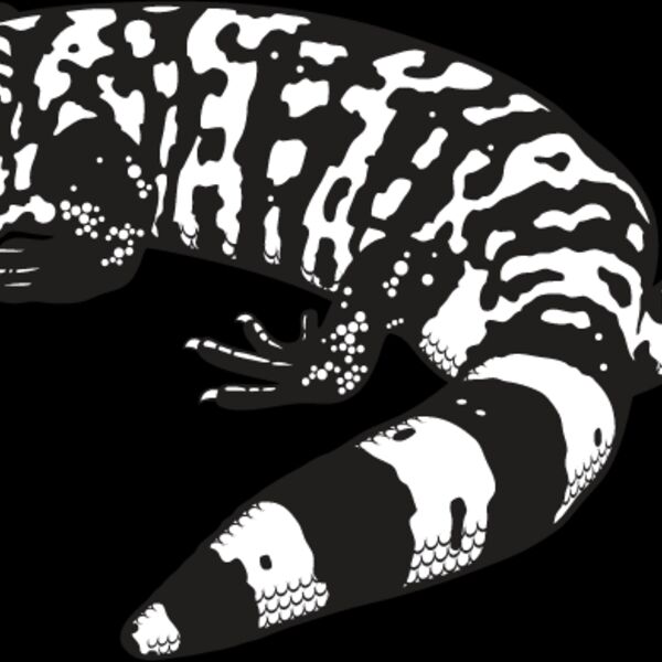 Gila Monster Thumbnail