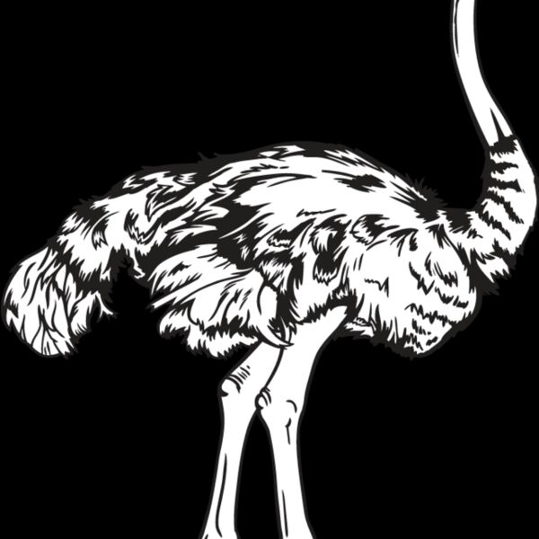 Ostrich Thumbnail