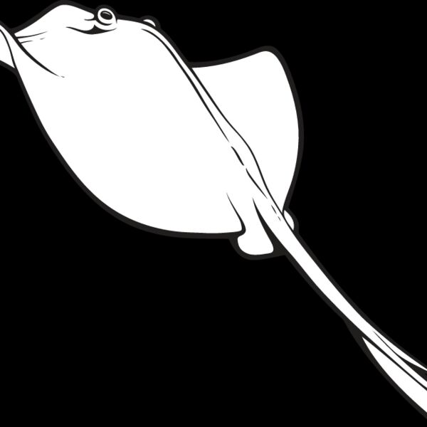 Stingray6 Thumbnail