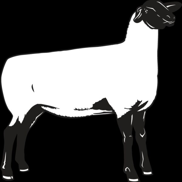 Sheep2 Thumbnail
