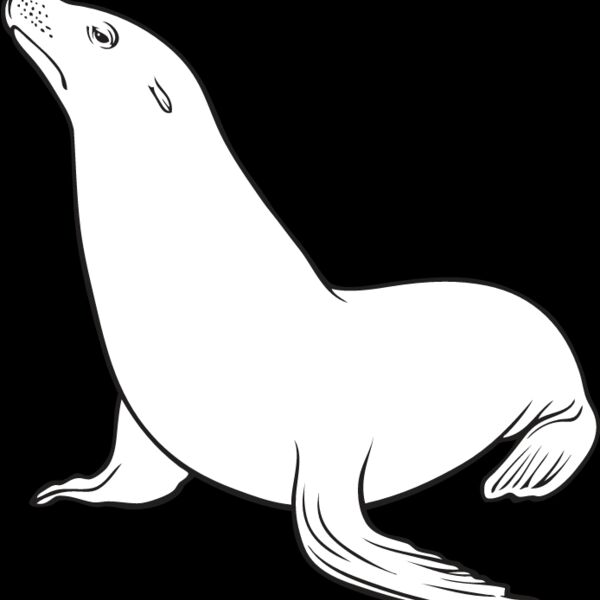 Sea Lion Thumbnail