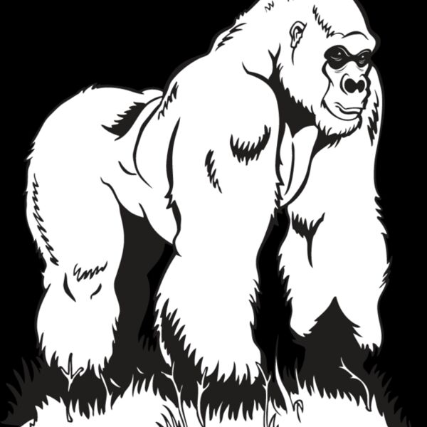 Gorilla1 Thumbnail