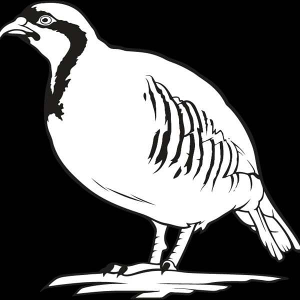 Partridge Thumbnail