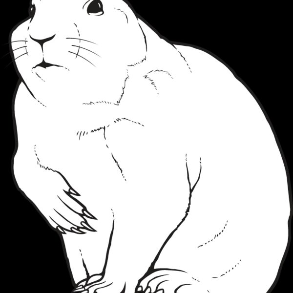 Prairie Dog Thumbnail