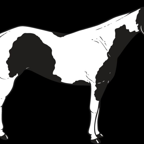 Horse11 Thumbnail