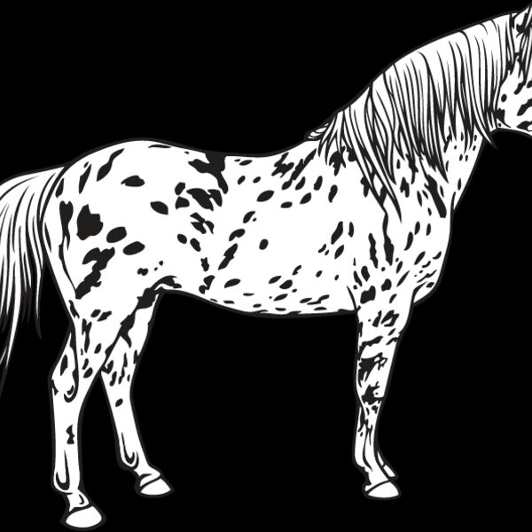 Horse6 Thumbnail