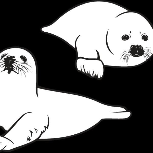 Baby Seals Thumbnail