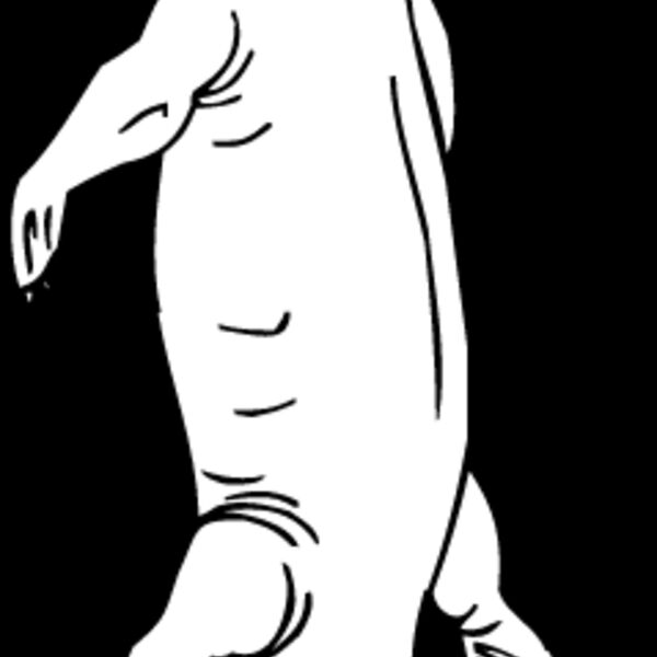 Nothosaurus Thumbnail