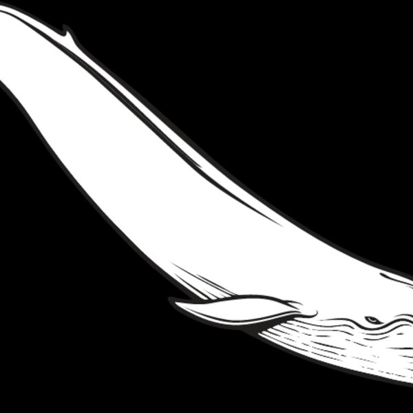 Blue Whale1 Thumbnail