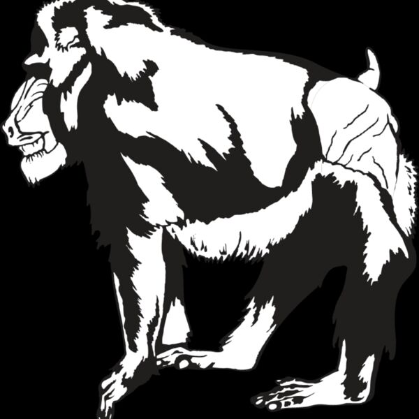 Monkey3 Thumbnail