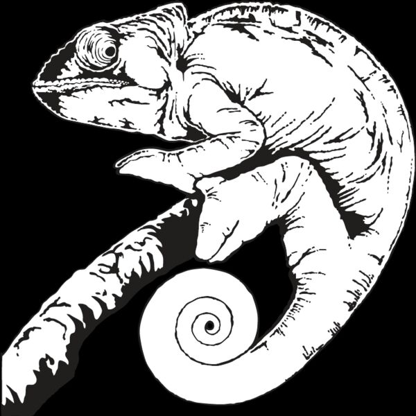 Chameleon Thumbnail