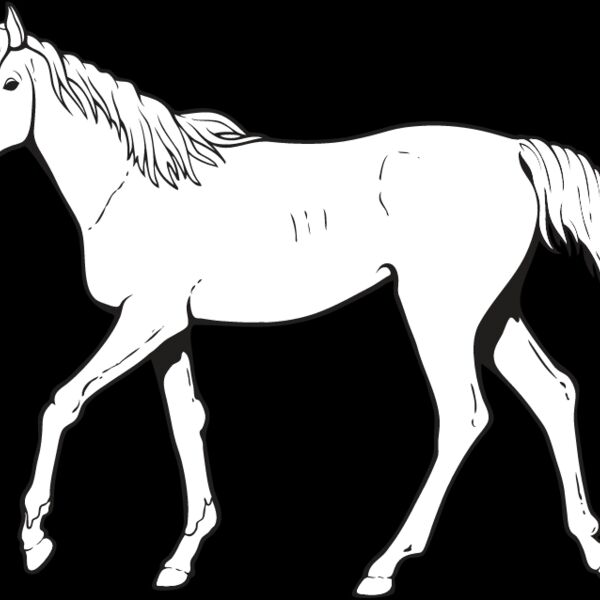Horse7 Thumbnail