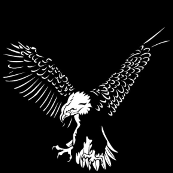 Eagle1 Thumbnail