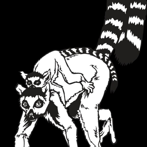 Lemur Thumbnail