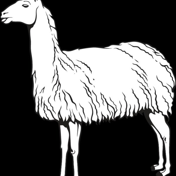 Llama Thumbnail