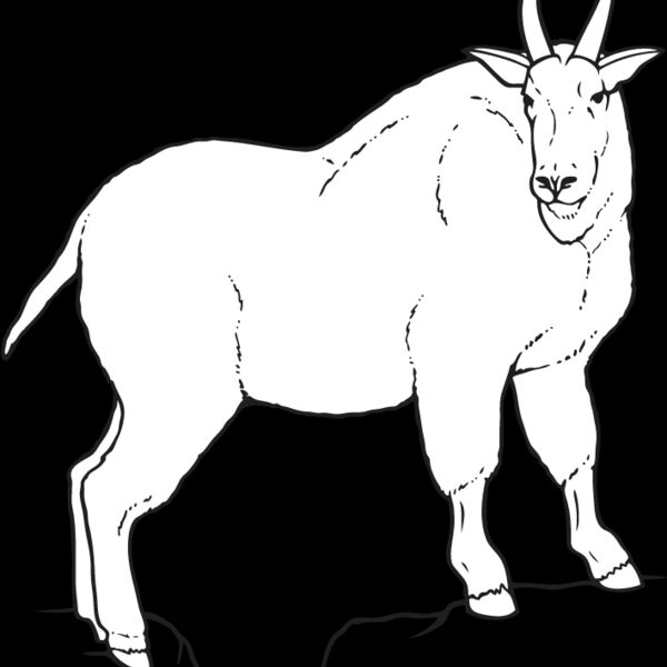 Goat3 Thumbnail