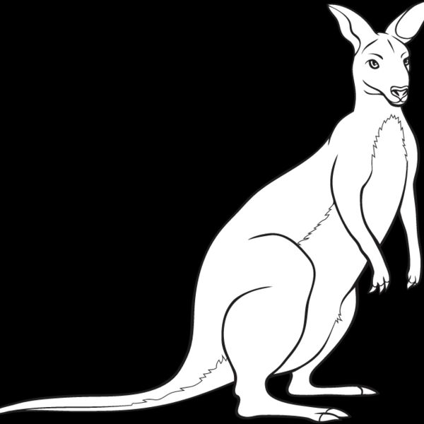 Wallaby Thumbnail
