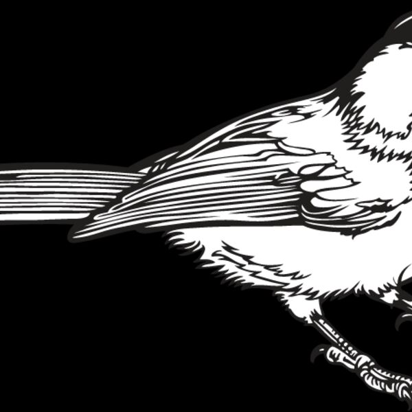 Chickadee Thumbnail