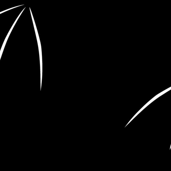 Bat6 Thumbnail