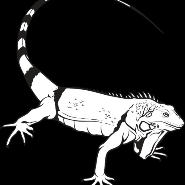 Iguana1 Thumbnail