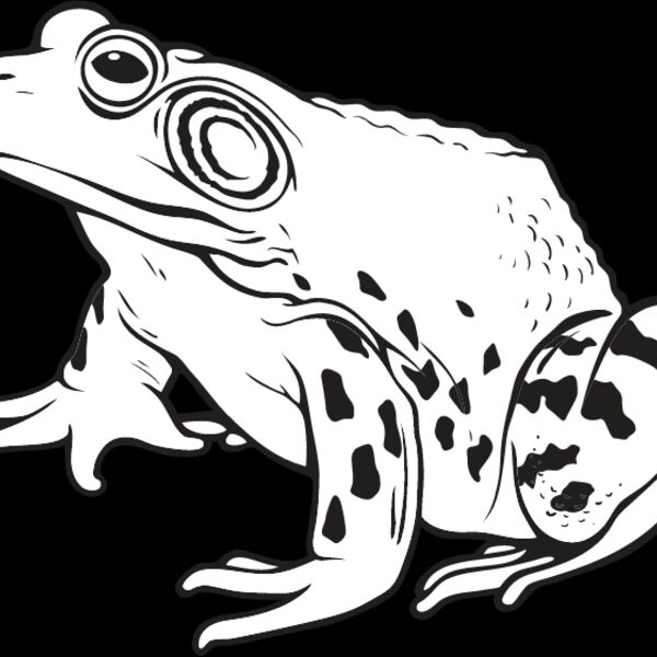 Bullfrog Thumbnail