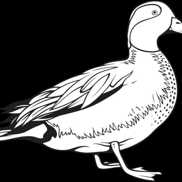 Duck1 Thumbnail