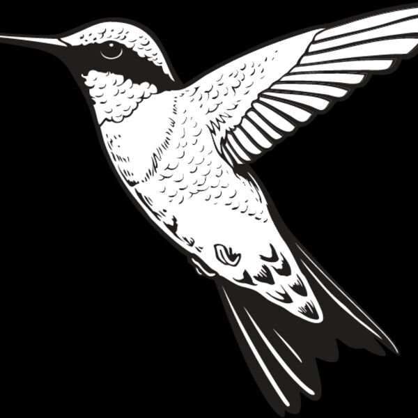 Hummingbird Thumbnail