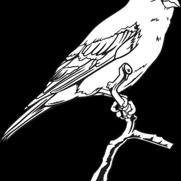 Finch Thumbnail
