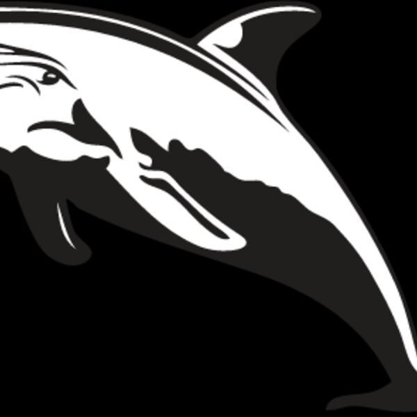 Dolphin1 Thumbnail