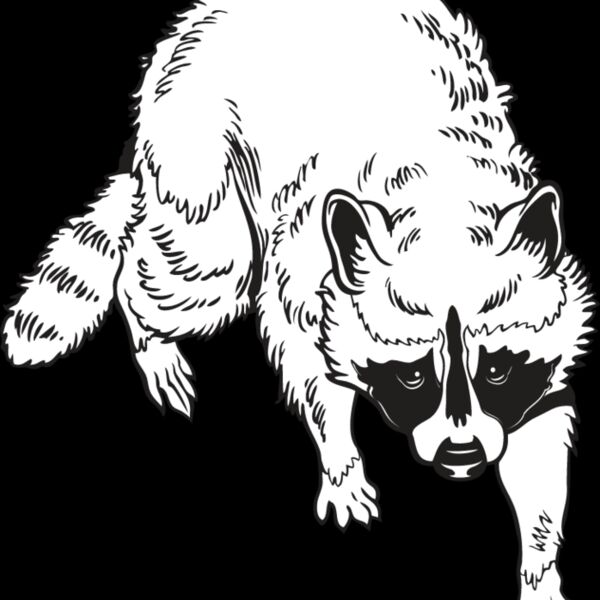 Raccoon1 Thumbnail
