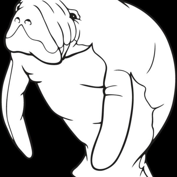 Manatee Thumbnail