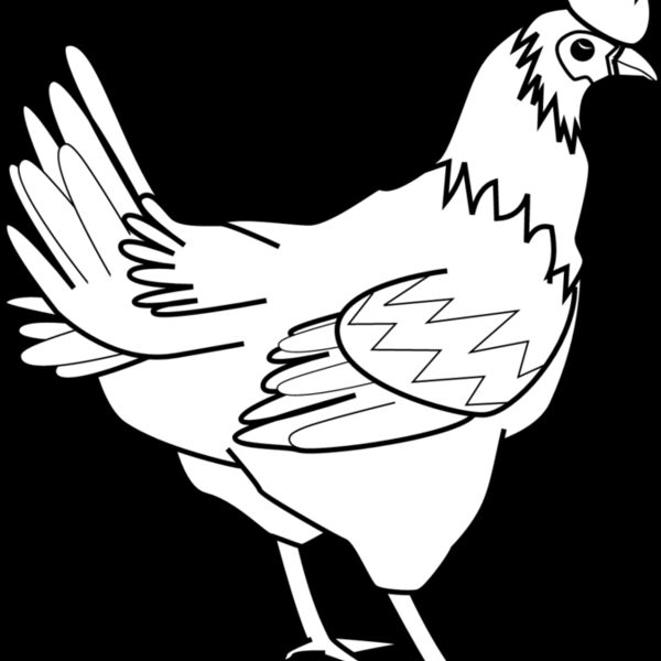 Chicken1 Thumbnail
