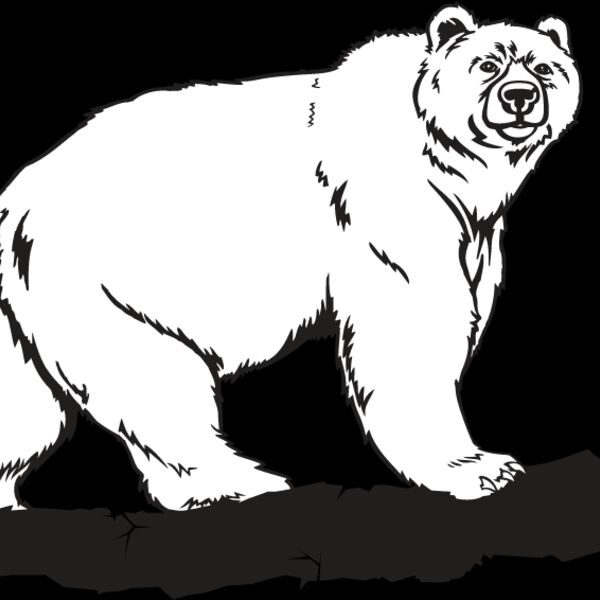 Grizzly Bear Thumbnail