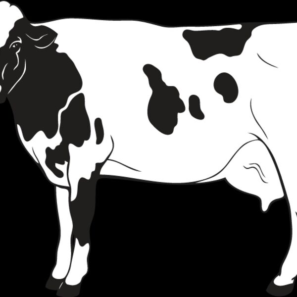 Cow6 Thumbnail