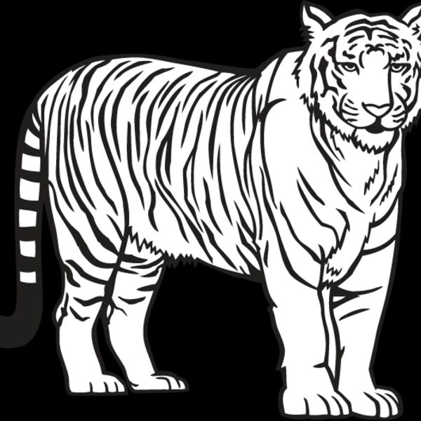 Tiger2 Thumbnail