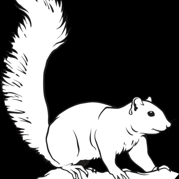 Squirrel Thumbnail