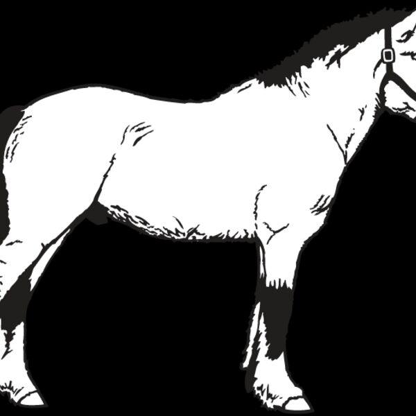 Horse2 Thumbnail