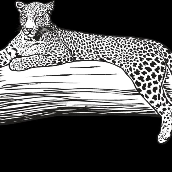 Leopard Thumbnail